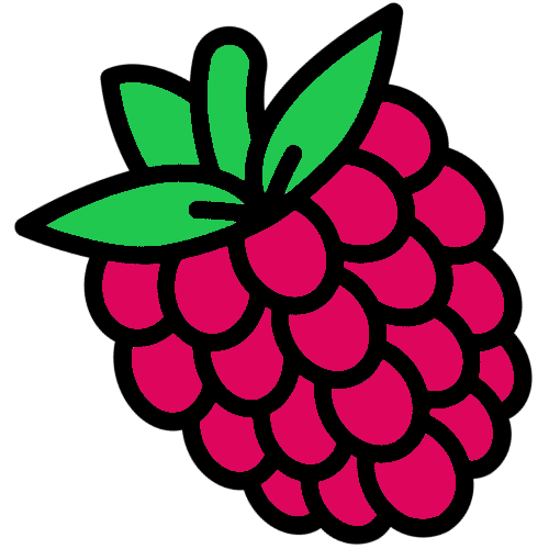Raspberry icon