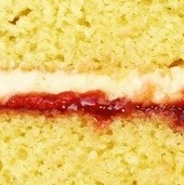 Vanilla Sponge